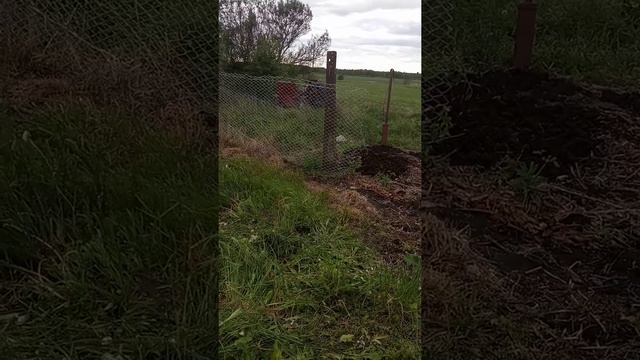 Поднимаем столб с гнездом для аиста. смотреть онлайн