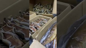Свежее поступление в наш магазин "Азбука Севера"