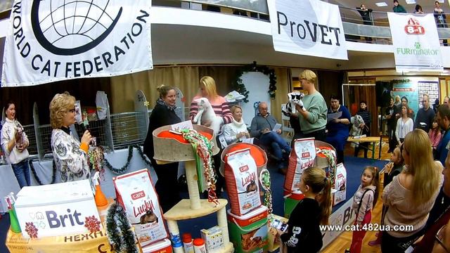 7 Выставка кошек Харьков ДК ХТЗ 15 декабря 2019 WCF Best