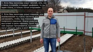 Открытие винограда весной!