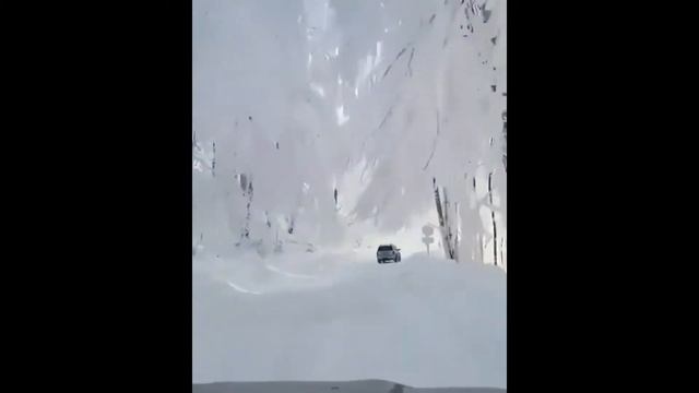 Лесная снежная сказка смотреть онлайн