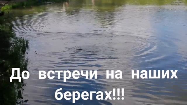 Мисайлово Trout. Ловись форель