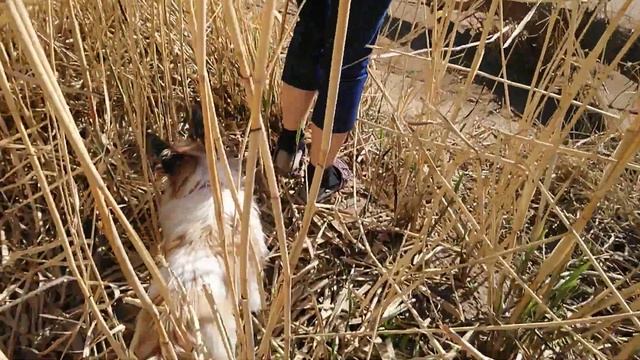 Волга (СВЕТая река РА) Волгоградская область, село Новоникольское.