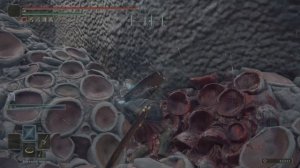 ELDEN RING_Старший Дракон Грейолл