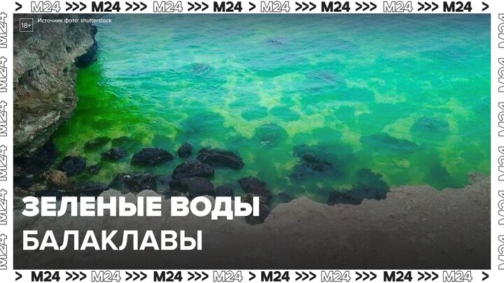 В бухте Балаклавы в Крыму вода окрасилась в ядовито-зеленый цвет - Москва 24