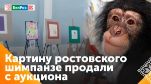 В Ростовском зоопарке прошла выставка-аукцион картин шимпанзе