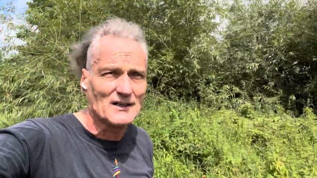 59я пробежка, 13 перевертышей, 10 турник, 25 отжиманий и тем же концом по тому же месту ? #fitline смотреть онлайн