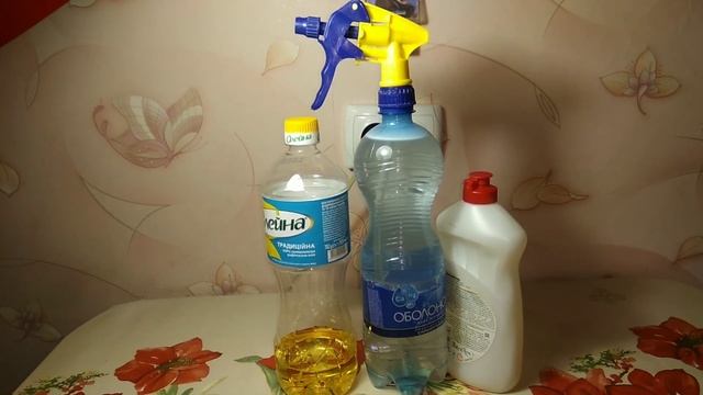 Як добитися чистого листя у фіалок! Рецепт!