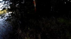 Ловля окуня и красноперки на спиннинг. Ультралайт. Микроколебалки. Часть 1