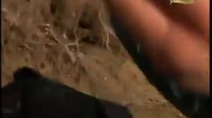 Клёвое место  Нижняя Волга  Енотаевка   Старица