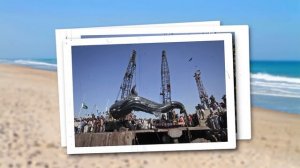 Посмотрите, на что Способна Самая Большая Пиранья в Мире