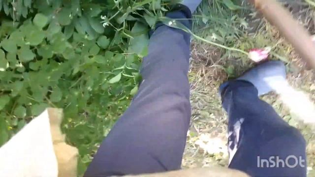 №447. Началось на даче лето// Странички дачного дневника//28 мая смотреть онлайн