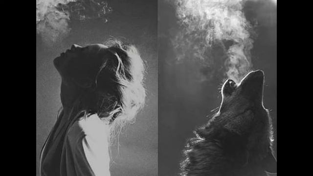 Мы есть то о чём мы мылим. Думайте о хорошем и вы создадите ваш рай. смотреть онлайн