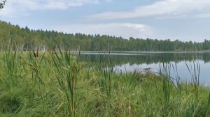 "мёртвое озеро" Пенза.