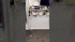 Детейлинг в гараже. Это возможно ? Личный опыт.