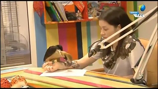 Пятничный разогрев 20.11.2015 смотреть онлайн