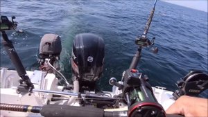Троллинг лосося в Балтийском море