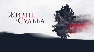 Жизнь и судьба - Дмитрий Михайлов