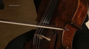 Александр Князев, виолончель