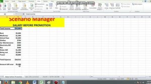 SCENARIO MANAGER IN EXCEL 2010