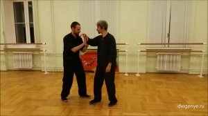 Тайцзицюань, применение 8 усилий. Tai Chi Chuan Old Yang-stile.