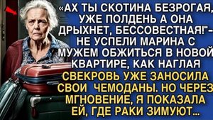 «АХ ТЫ СК#ТИНА БЕЗРОГАЯ, УЖЕ ПОЛДЕНЬ А ОНА ДРЫХНЕТ» - СЪЯЗВИЛА СВЕКРОВЬ, ЗАТАСКИВАЯ СВОИ ЧЕМОДАНЫ…