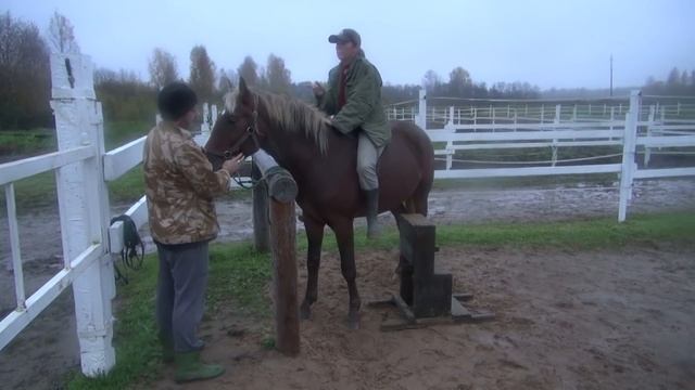 Как заездить лошадь. День первый. смотреть онлайн