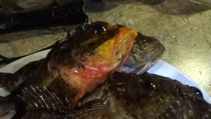 Подводная охота в Анапе 2020 октябрь  Лобань, Скарпена , Барабуля