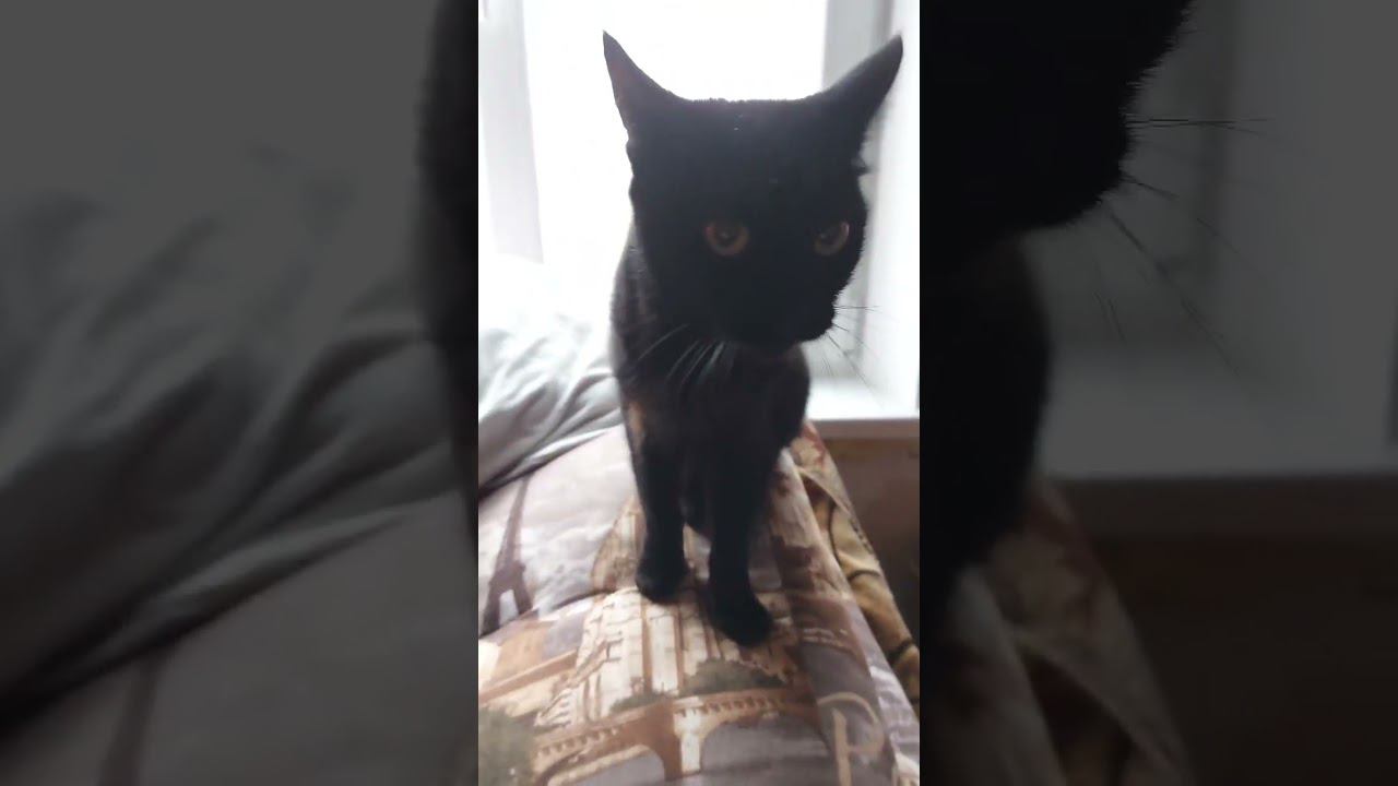 Скоро за каждым окном страны смотреть онлайн