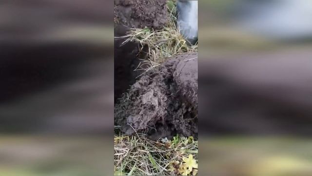 МИНИ КЛАД, КОШЕЛЬ МЕДНЫХ МОНЕТ! СУПЕР КОП 2019 смотреть онлайн