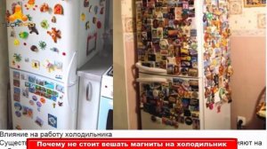 Перепелиные Яйца не Полезнее Куриных: Разрушили Мифы о Популярных Продуктах – топ лайфхаки