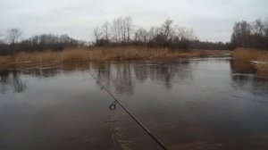 Береговая рыбалка на малой реке. Щука после схода льда.Весенняя рыбалка на спиннинг в Тверской обл.