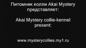 11.04.2009 Региональная выставка ранга САС, город Уфа  