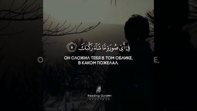 Коран Сура 82 «Обвешивающие», аяты 6-12.
Чтец: Ахмад Х'адр
