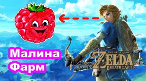 Фарм Малина (несколько локаций). The Legend of Zelda: Breath of the Wild. Nintendo Switch