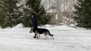 Не обычный урок с ВЕО.