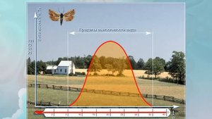 Закон оптимума. Биология