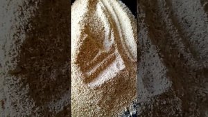 Кофе из жёлудей. Как сделать кофе из жёлудей в домашних условиях