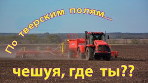 В поисках чешуи по полям Тверской области! Копатель ДИВ Кладоискатель