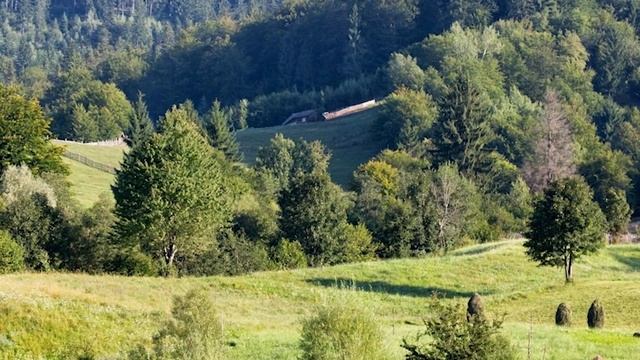 Евангелие дня. Чтимые святые дня. Икона Божией Матери: Всецарица (Пантанасса). (31.08.2020) смотреть онлайн