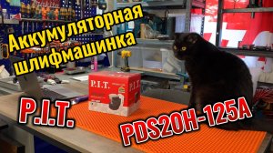 Шлифмашина аккумуляторная эксцентриковая P.I.T. PDS20H-125A