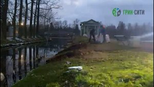 Дробление пней методом фрезерования