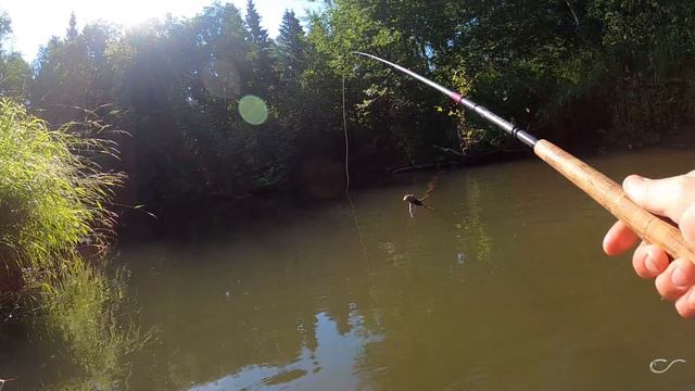 Шнур для тенкары Kola Salmon