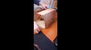 Игровой руль из картона :)