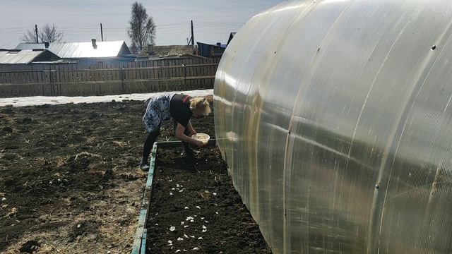 Простые радости деревни.Огородный сезон открыт.