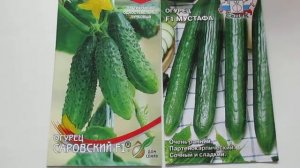 Огурчики самоопыляемые.САРОВСКИЙ И МУСТАФА.