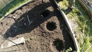 Цеолит для капусты