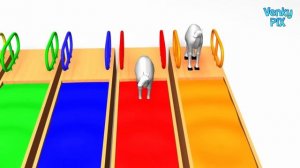 Гонки Верблюдов, Водные горки 3D , Детские песенки для малышей