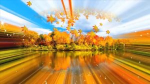 ФУТАЖ ОСЕНЬ 1.