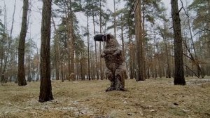 Обзор на взрослый надувной костюм динозавра тираннозавра Ти-Рекса